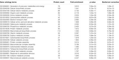 Chaperonin Abundance Enhances Bacterial Fitness